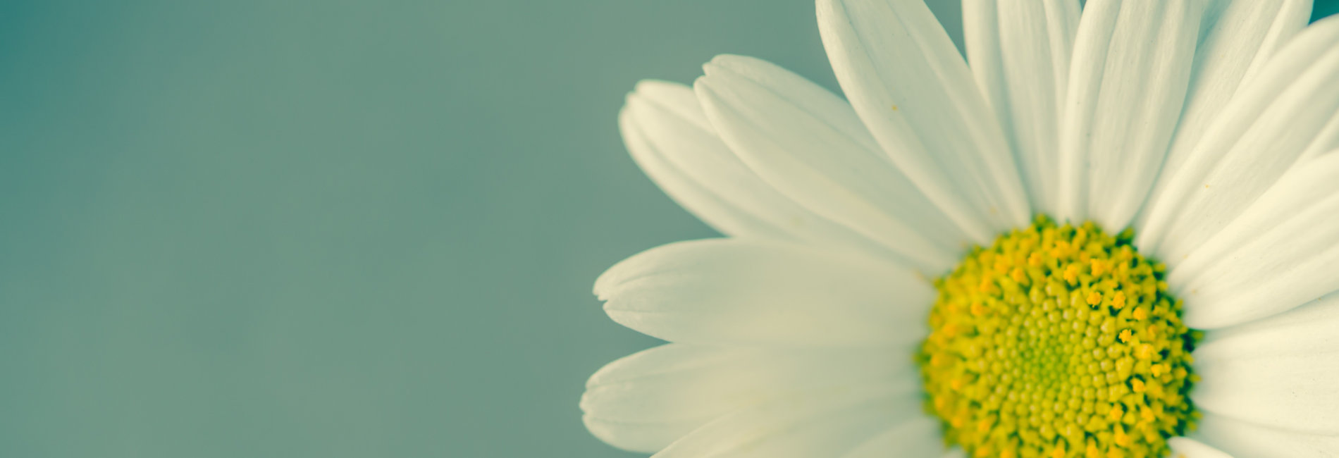 lvdn_header_1900