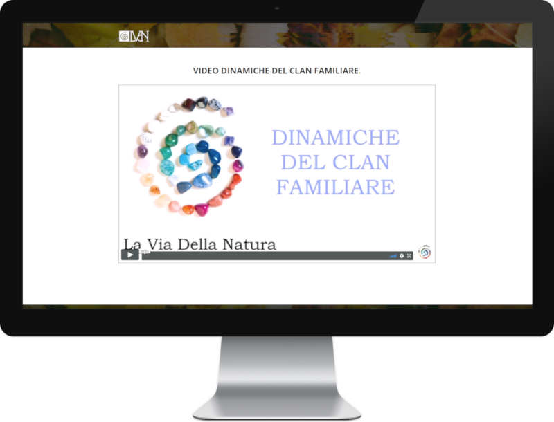 video_user
